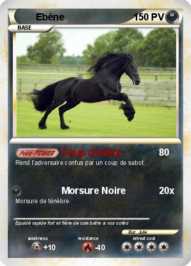 Pokemon Ebène