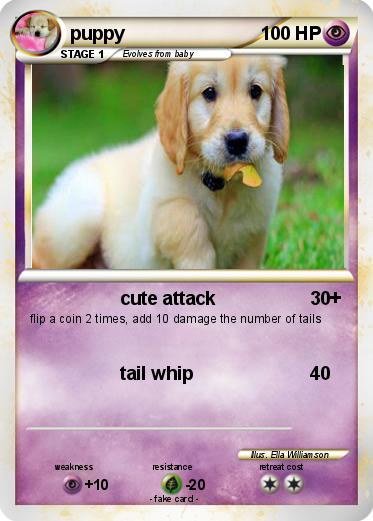 Pokemon puppy