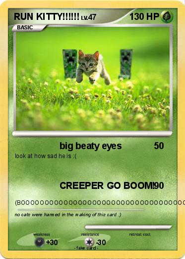 Pokemon RUN KITTY!!!!!!