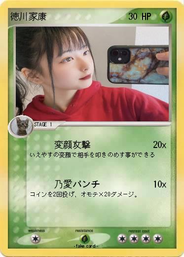 Pokemon 徳川家康