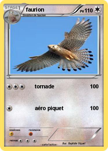 Pokemon faurion