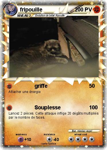 Pokemon fripouille