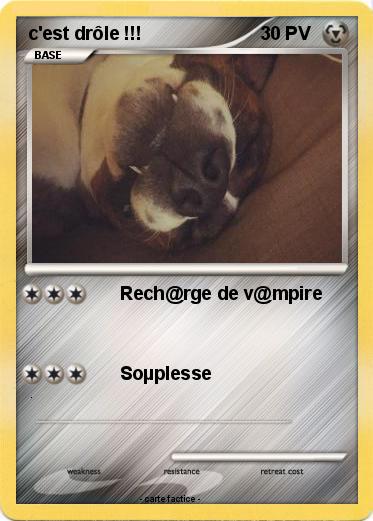 Pokemon c'est drôle !!!