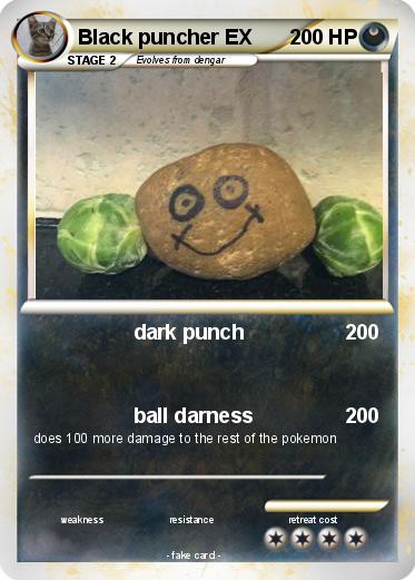 Pokemon Black puncher EX