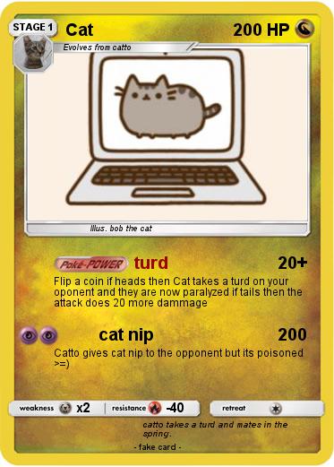 Pokemon Cat