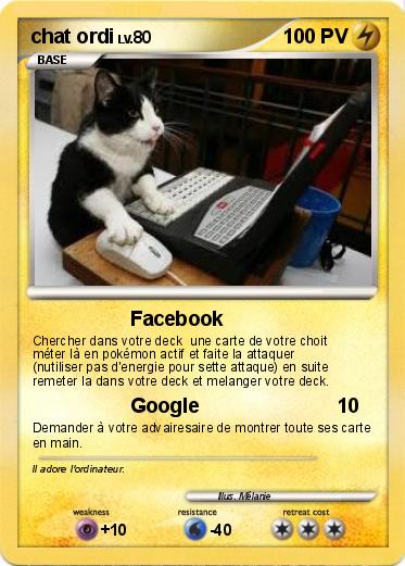 Pokemon chat ordi