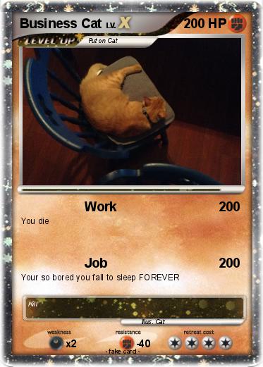 Pokemon Business Cat