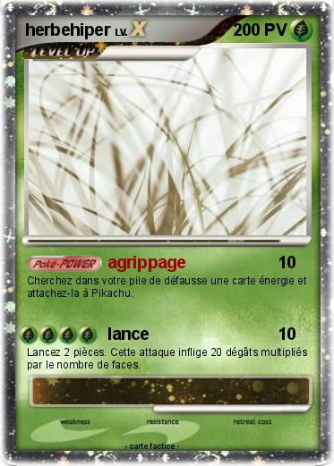 Pokemon herbehiper