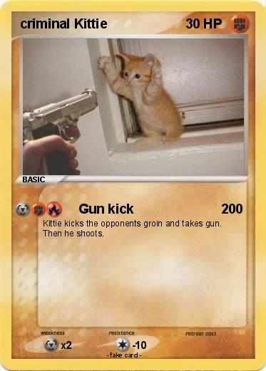 Pokemon criminal Kittie