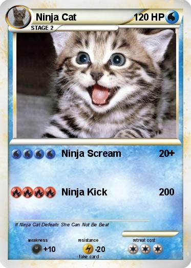 Pokemon Ninja Cat