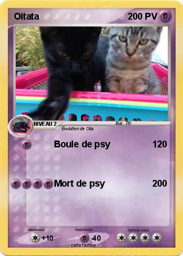 Pokemon Oitata
