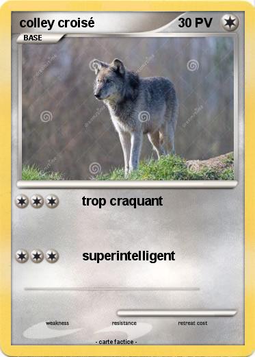 Pokemon colley croisé