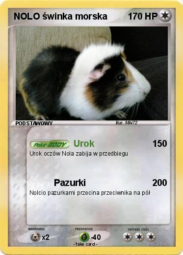 Pokemon NOLO świnka morska
