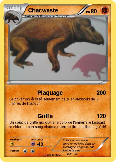 Pokemon Chacwaste