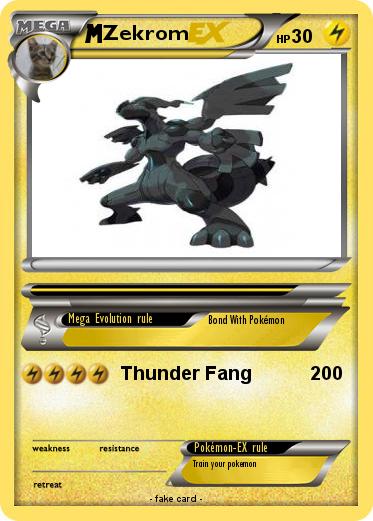 Pokemon Zekrom