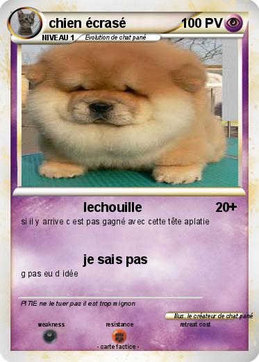 Pokemon chien écrasé