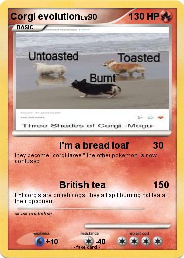 Pokemon Corgi evolution