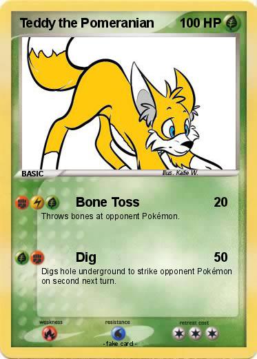 Pokemon Teddy the Pomeranian