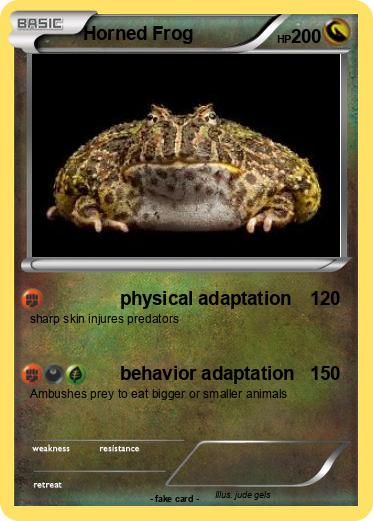 Pokemon Horned Frog