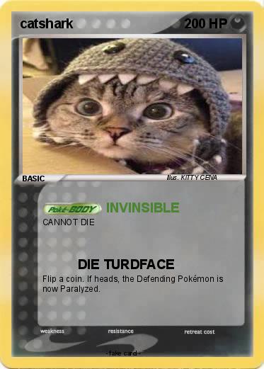 Pokemon catshark