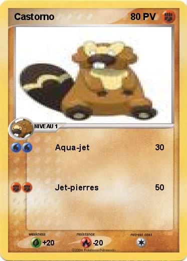Pokemon Castorno