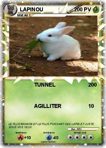 Pokemon LAPINOU