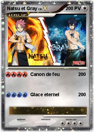 Pokemon Natsu et Gray
