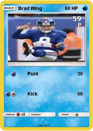 Pokemon Brad Wing
