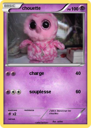 Pokemon chouette