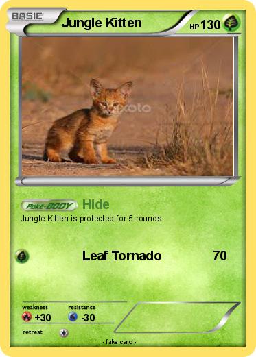 Pokemon Jungle Kitten