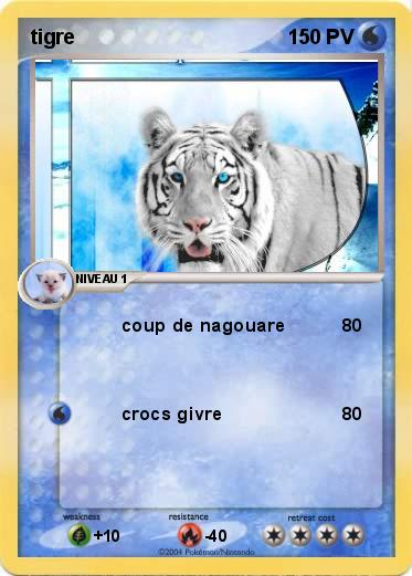 Pokemon tigre