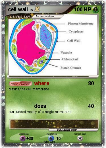 Pokemon cell wall