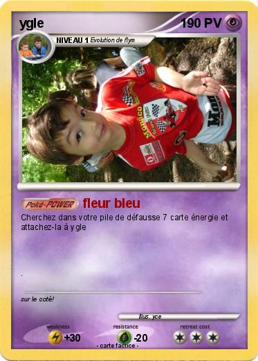 Pokemon ygle