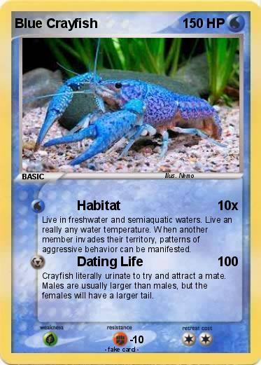 Pokemon Blue Crayfish