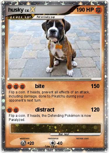 Pokemon husky