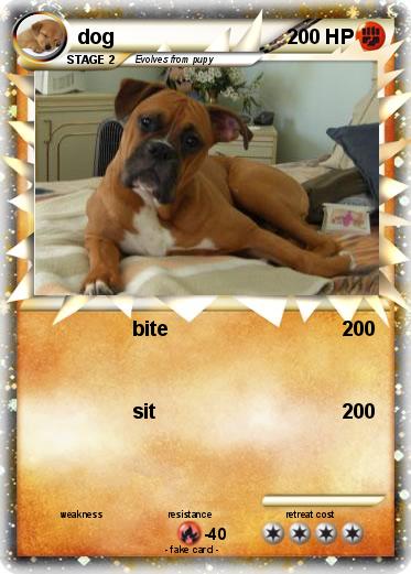 Pokemon dog