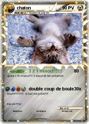 Pokemon chaton