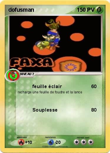 Pokemon dofusman