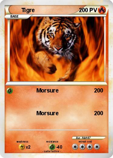 Pokemon Tigre