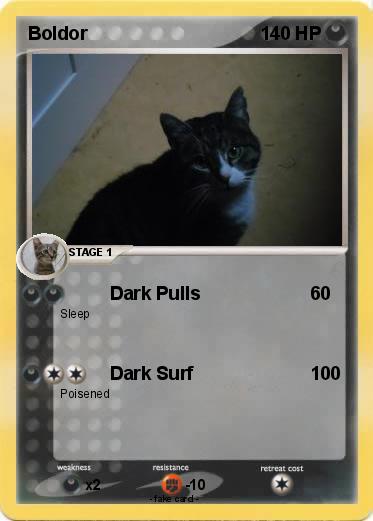 Pokemon Boldor