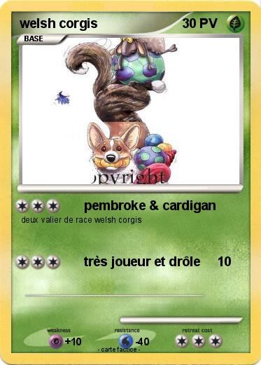 Pokemon welsh corgis