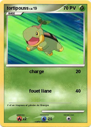 Pokemon tortipouss