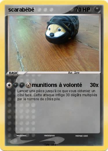 Pokemon scarabébé