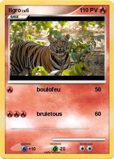 Pokemon tigro