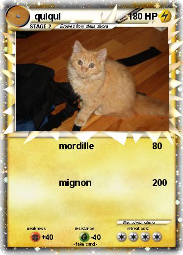 Pokemon quiqui
