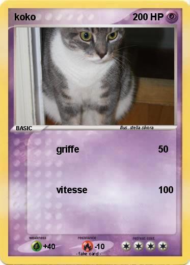 Pokemon koko