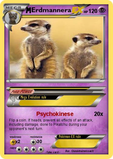 Pokemon Erdmannera