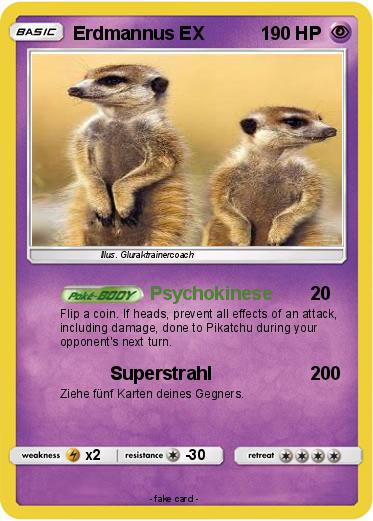 Pokemon Erdmannus EX