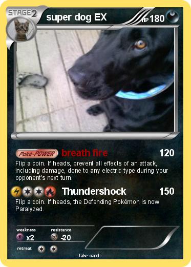 Pokemon super dog EX