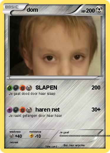Pokemon dom